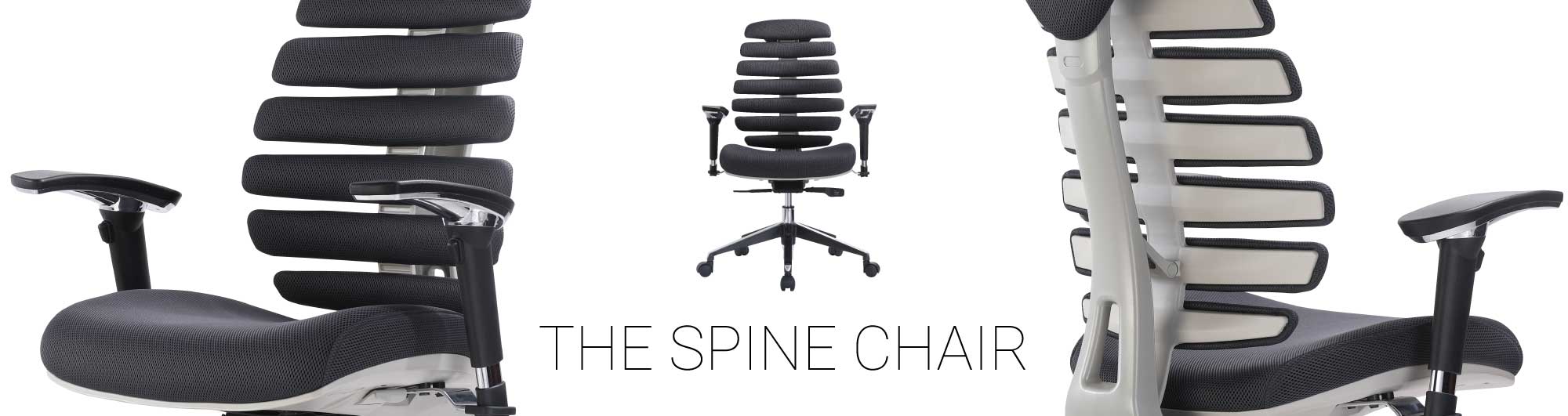 the spine chair Ergo HQ